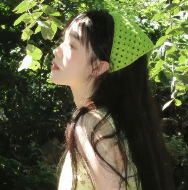 神鹰之拳