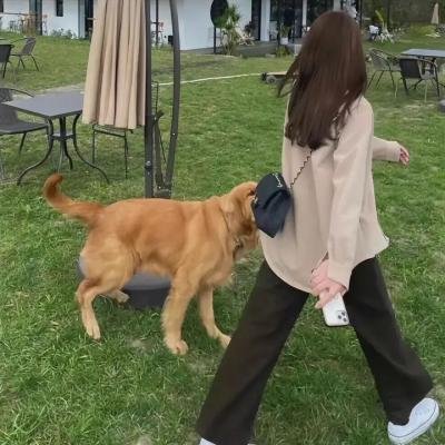 目标